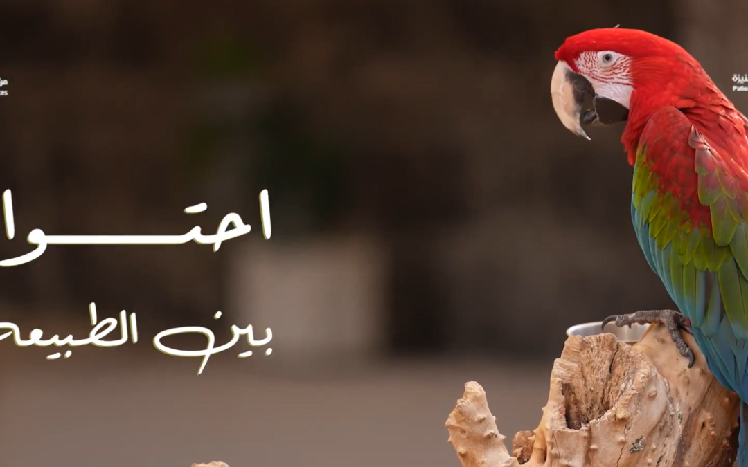 احتواء بين الطبيعة