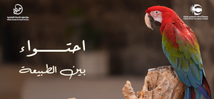 Screenshot 2025 11 18 234201