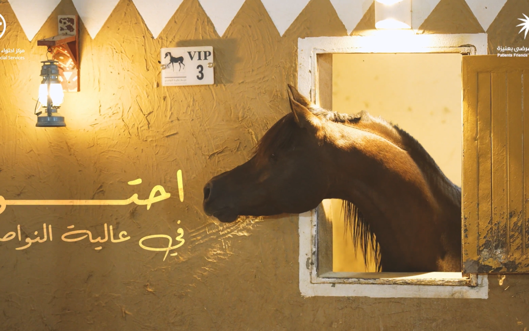 احتواء في عالية النواصي