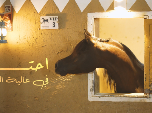 احتواء في عالية النواصي