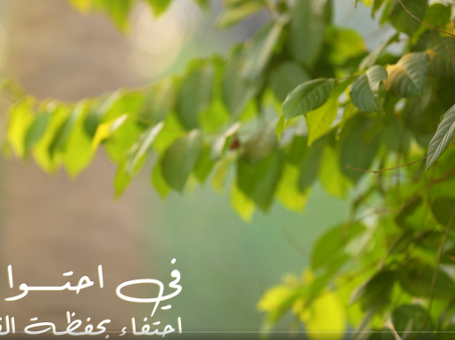 الاحتفاء بحفظة القرآن في احتواء